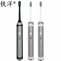 铁洋 电动牙刷 EA371 个