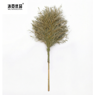 沐霓优品 大扫把 5斤 把