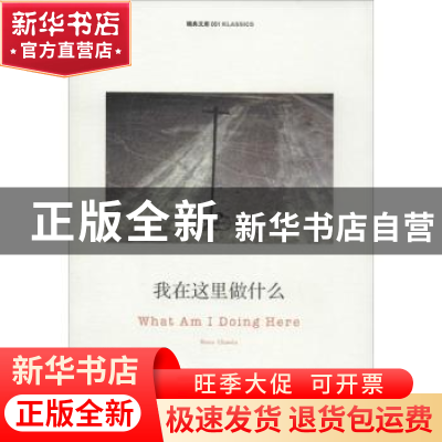 正版 我在这里做什么 (英)布鲁斯·查特文(Bruce Chatwin)著 南京