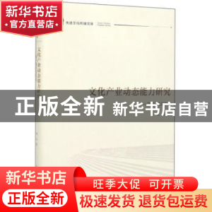 正版 文化产业动态能力研究:基于理论及实证 朱云 光明日报出版社