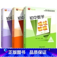初中数学培优教程(全套) 初中通用 [正版]于中考数学16讲第五版初中数学十六讲 中考数学二轮复习压轴题破解策略分析与解