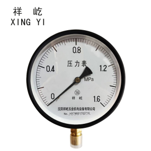 祥屹+压力表检测定制型+Y200+块