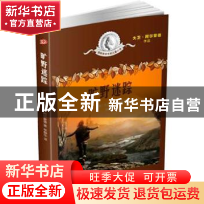 正版 旷野迷踪 大卫?阿尔蒙德(英) 著 林静华 译 人民文学出版