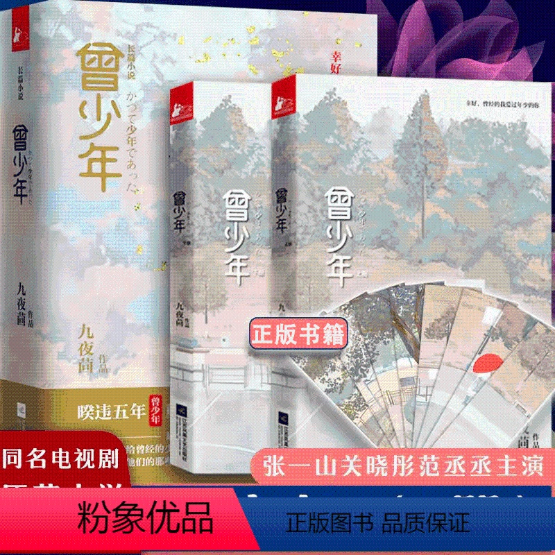 [正版]书曾少年上下2册 九夜茴著 范丞丞/关晓彤/张一山主演电视原著 以回忆青春为主题成长题材言情小说书籍言情小说文