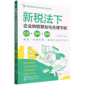 [N]新税法下企业纳税筹划与合理节税(方法+图表+案例)-9787122385710