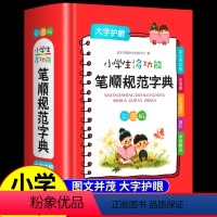 [正版]2022新版小学生全功能笔顺笔画部首结构规范字典彩图版 组词造句识字书写汉字大全1-6年级工具书认识汉字汉语多