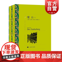 魔山 上下 译文名著精选托马斯曼德国文学文学名著震撼世界文坛史诗力作现代小说外国文学欧美小说上海译文出版社正版图书籍