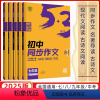53专项语文 初中同步作文 七年级 初中通用 [正版]2025版53语文专项训练七八九年级现代文阅读+古诗文阅读 初中同
