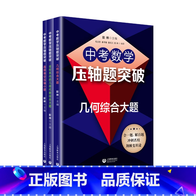 中考数学压轴题突破系列套装3册 几何综合大题 坐标系内的几何代数综合大题 选择填空压轴小题 [正版]初中数学压轴题精讲精