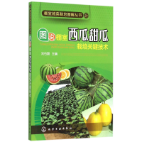 音像图说棚室西瓜甜瓜栽培关键技术/棚室蔬菜栽培图解丛书刘石磊