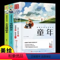 [美绘彩图]六年级上必读 [正版]爱的教育+童年+小英雄雨来 三四六年级上下册必读课外书籍高尔基原著小学生阅读老师快乐读