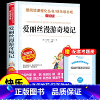 [单本]爱丽丝漫游奇境记 [正版]全套4册 鲁滨逊漂流记六年级下册的课外书必读原著完整版汤姆索亚历险记爱丽丝漫游奇境尼尔
