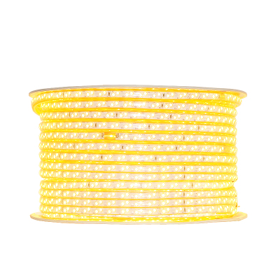 格瑞捷LED彩灯带 LED-100米 暖白220V/米