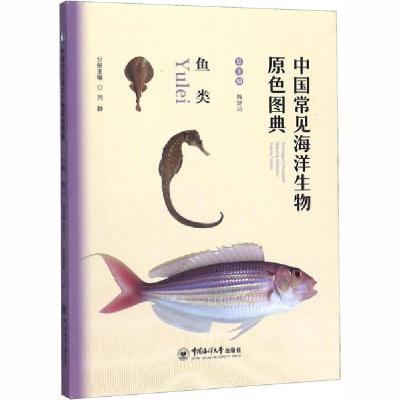 正版新书]中国常见海洋生物原色图典 鱼类董胜9787567017702