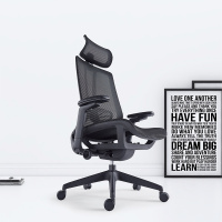 臻远ZY-7821 办公椅人体工学椅转椅电脑椅 黑色悬空网座