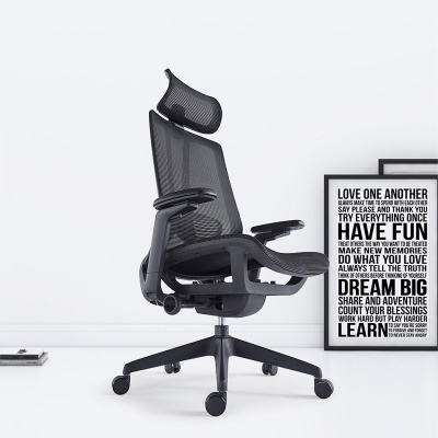 臻远ZY-7821 办公椅人体工学椅转椅电脑椅 黑色悬空网座