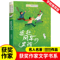 音像全国儿童文学奖获奖作家书系--追赶风车的男孩李学斌