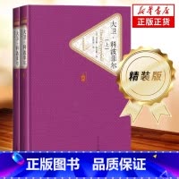 大卫科波菲尔(上下) [正版]送有声书 大卫科波菲尔 原著无删减 精装硬壳学生课外书籍 初中生高中生大卫.科波菲尔