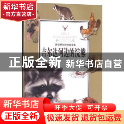 正版 吉尔达河边的浣熊 姚忻仪 武汉出版社 9787558204364 书籍