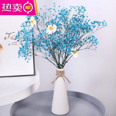云南满天星干花花束真花家居小清新装饰摆件满天星鲜花自然风干FENGHOU蓝色星空满天星+艺术花瓶