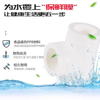 盛京联硕 PPR三通 国标PPR配件PPR三通PPR管件 PPR20(4分) 个