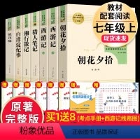人教版[七上全7册]朝花夕拾+西游记+猎人笔记9湘行散记+镜花缘+白洋淀纪事(送考点+西游记路线图) [正版]骆驼祥子和