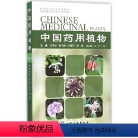 [正版]中国药用植物