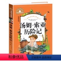 汤姆索亚历险记 [正版]兔子坡注音版三年级书籍一年级二年级阅读课外书必读经典书目小学生1-2-3年级带拼音书籍老师推 荐