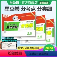 语数英??小升初真题[分类卷]3 小学升初中 [正版]2024小白鸥星空小升初分类卷语文数学英语小学下册专项训练考试卷六