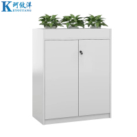 珂攸洋办公柜置物柜800*350*1100mm个