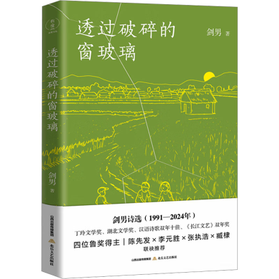 正版新书]透过破碎的窗玻璃(四位鲁奖得主,陈先发、李元胜、张