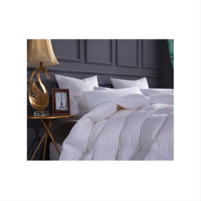 胜帐 羽绒被防绒加厚控温95%被芯 春秋被四季被双人被700g