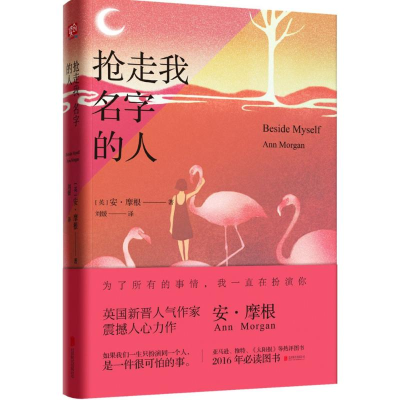 醉染图书抢走我名字的人9787550283831