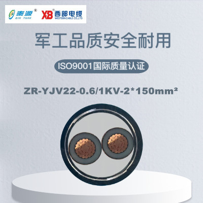 秦源牌 ZR-YJV22-0.6/1KV-2*150mm² 阻燃铜芯钢带铠装电力电缆 元/米 定制商品 联系客服