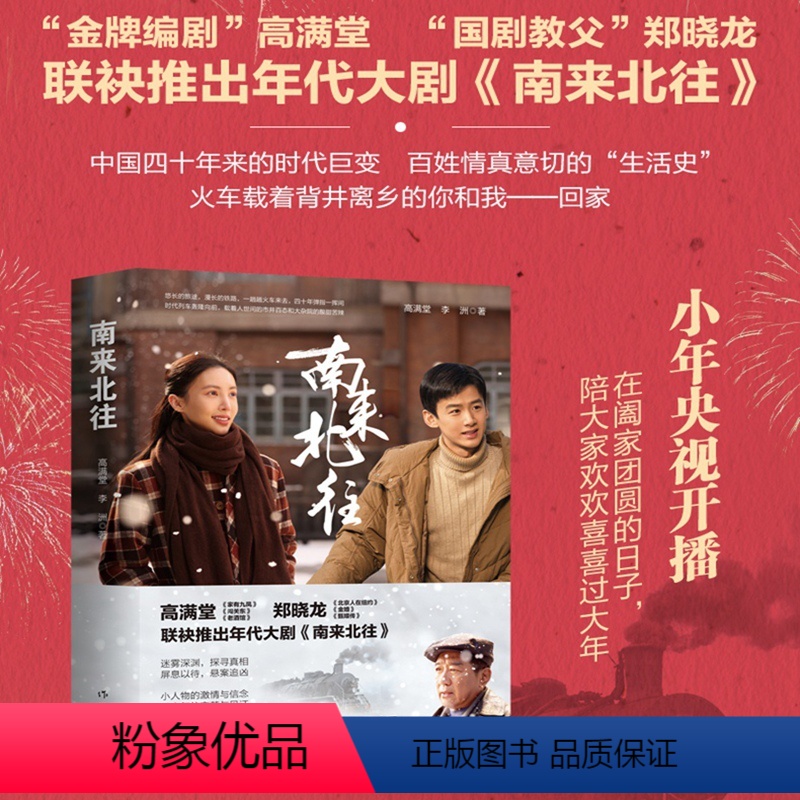 [正版]南来北往 同名电视剧原著小说 高满堂著 白敬亭、金晨领衔主演年代大剧《南来北往》同名小说