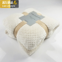 北欧网眼小毛毯单人沙发午睡宿舍盖毯保暖被子学生冬季珊瑚绒床单 三维工匠