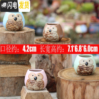 三维工匠陶瓷特小号多肉植物多色套装控型迷你多肉拇指肉肉花盆创意 猫头鹰2号(4个) 中小花盆容器