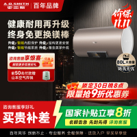 史密斯80升电热水器 国家补贴 专利免更换镁棒 金圭内胆 速热节能 CEWH-80ED3 一级能效