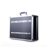GMFM粗大运动测试量表工具箱心理解压玩具