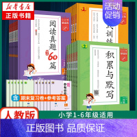 阅读真题60篇 一年级上 [正版]2024/25适用 53小学基础练人教版 一二三年级积累与默写上下册句式训练大全阅读真
