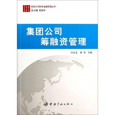 正版新书]集团公司筹融资管理/集团公司财务金融管理丛书许世龙/