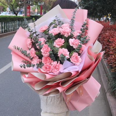 五二零 母亲节鲜花速递 19朵粉色康乃馨花束送妈妈长辈节日礼物 北京