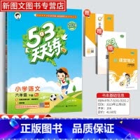 语文[人教版] 六年级下 [正版]2024新版53天天练六年级下册语文同步作业训练人教版53小学一课一练测试卷寒假作业五