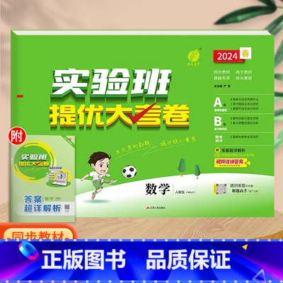 数学(人教版)。 二年级上 [正版]实验班提优大考卷一年级二年级三四五六年级上册语文数学英语人教版北师大苏教下册期中期末