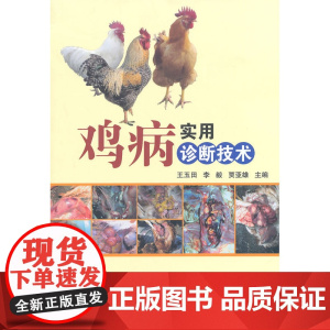 鸡病实用诊断技术
