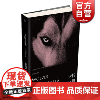 卡拉之狼 黑暗塔系列 斯蒂芬金 恐怖惊悚小说 欧美奇幻文学 外国科幻 上海文艺出版社