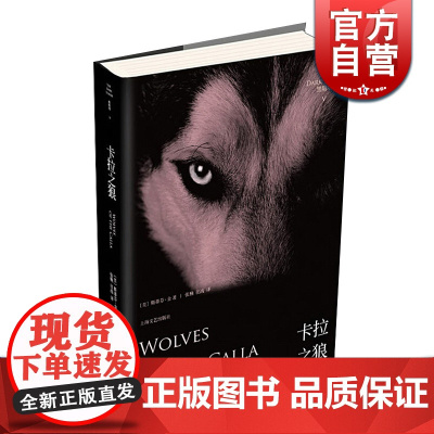 卡拉之狼 黑暗塔系列 斯蒂芬金 恐怖惊悚小说 欧美奇幻文学 外国科幻 上海文艺出版社