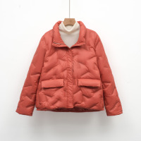 新款简约女式90绒女装立领压胶纯色羽绒服短款大码外套_6731