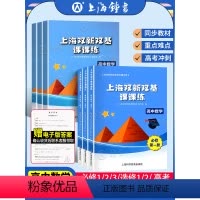 上海双新双基 高三数学首轮复习 高中通用 [正版]上海双新双基课课练 高中数学 必修1必修2必修3 第一二三册 选择性