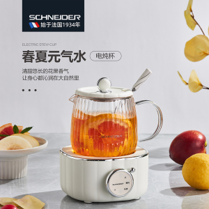 SCHNEIDER施耐德电炖杯 高硼硅全玻璃大口径茶杯 低音炖煮分体式水壶水杯健康养生杯0.6L SWK-XDBL01